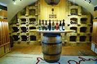 Slovácká galerie vín		