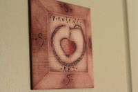 Cyklisté vítáni - Penzion Rozmarná Róza