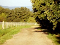 Cyklisté vítáni - Penzion Ranch s restaurací