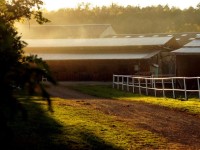 Cyklisté vítáni - Penzion Ranch s restaurací