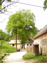 Cyklisté vítáni - Středověký vodní mlýn Hoslovice