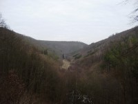 Pohled do údolí Žlubineckého potoka