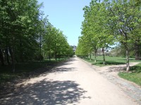 Zámecký park Karlova Koruna - alej