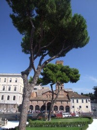 Piazza della Bocca della Verità