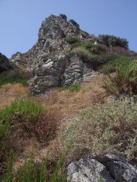 Capo Vaticano