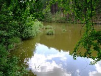 Semínský rybník