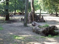 Zámecký park ve Veselí nad Moravou