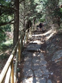 Cesta k pevnost Il Montale