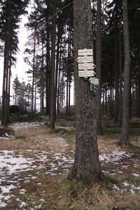 Rozcestník Harcovský les