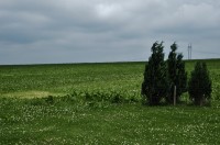 Pohled severním směrem od památníku v geografickém středu České republiky do volné krajiny za obcí Číhošť.