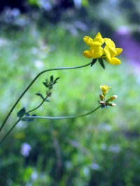 fotka uživatele Takaterina