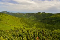 Slovensko - Západní Tatry: Roháče - stezka ze Zadné Látané do sedla Zábrať