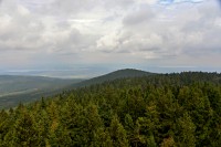 Rychlebské hory: Borůvková hora (výhled na Vysoký kámen)