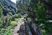 Madeira: Rabaçal - Levada das 25 Fontes