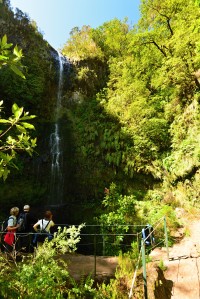 Madeira: Levada do Caldeirão Verde - vodopád Lombo do Bodes
