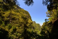 Madeira: Caldeirão do Inferno