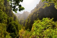 Madeira: Caldeirão Verde