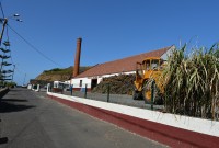 Madeira: Porto da Cruz - palírna rumu