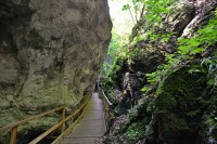 Rakousko - Gutensteinské Alpy: Soutěska Steinwandklamm