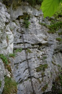 Rakousko - Gutensteinské Alpy: Soutěska Steinwandklamm - žebřík B
