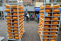 Alkmaar: holandské tradiční sýrové trhy