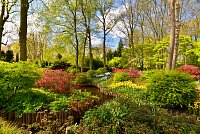 Nizozemsko: Keukenhof - holandská květinová zahrada