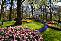 Nizozemsko (5): Keukenhof – holandská květinová zahrada