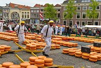 Nizozemsko: tradiční sýrový trh v Alkmaaru