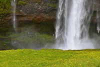 Island: vodopád Seljalandsfoss