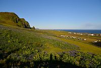 Island: městečko Vík