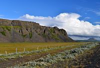 Island: krajina u městečka Raufarhöfn - stezka pro jízdu na koních