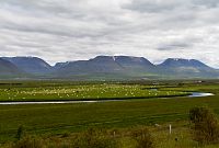 Island: krajina u městečka Varmahlíð