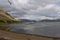 Island: Západní fjordy - město Patreksfjordur