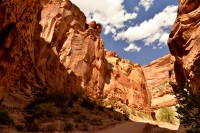 USA Jihozápad: Capitol Reef