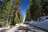 USA Jihozápad: silnice v Národním parku Yosemite přes Tioga Pass