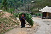 Severní Vietnam: žena ve vesnici La Pan Tan v oblasti Mu Cang Chai