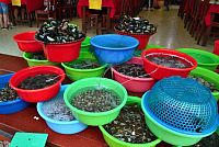 Severní Vietnam: město Cat Ba - rybí restaurace