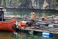 Severní Vietnam: Cat Ba - plavba zátokou Lan Ha Bay - plovoucí vesnice