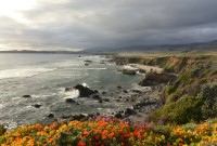 USA Jihozápad: pacifické pobřeží mezi Monterey a San Simeon