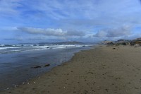 USA Jihozápad: pláž u Morro Bay