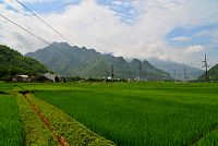 Severní Vietnam: Mai Chau - rýžová pole