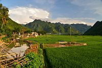 Severní Vietnam: Mai Chau - rýžová pole