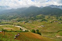 Severní Vietnam: oblast Sapa - údolí Muong Hoa, vesnice Ta Van