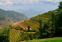 Severní Vietnam: oblast Sapa - údolí Muong Hoa, rýžové terasy