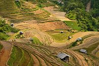 Severní Vietnam: oblast Mu Cang Chai - rýžové terasy u vesnice La Pan Tan