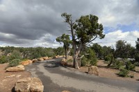 USA - Jihozápad: Grand Canyon - South Rim - chodníky pro pěší