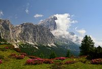 Itálie - Dolomity: výhled ze stezky č.441 na Tofanu