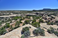 USA Jihozápad: National monument Natural Bridges