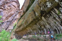 USA Jihozápad: Zion National Park - Weeping Rock