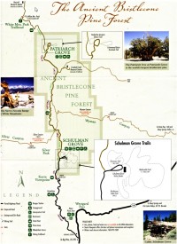 USA Jihozápad: White Mountains - Ancient Bristlecone Pine Forest - mapa